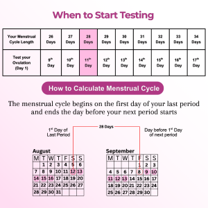 ovulation pee strips