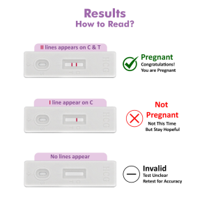 early pregnancy detection kit