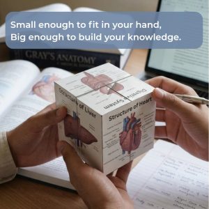 anatomy learning tool